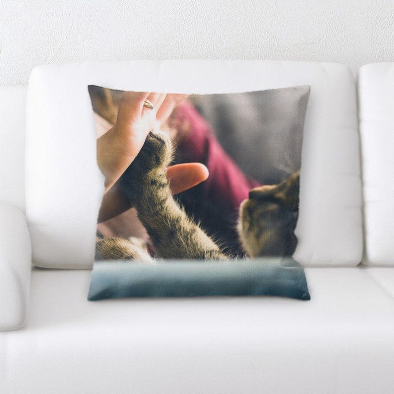 Coussin pour chat