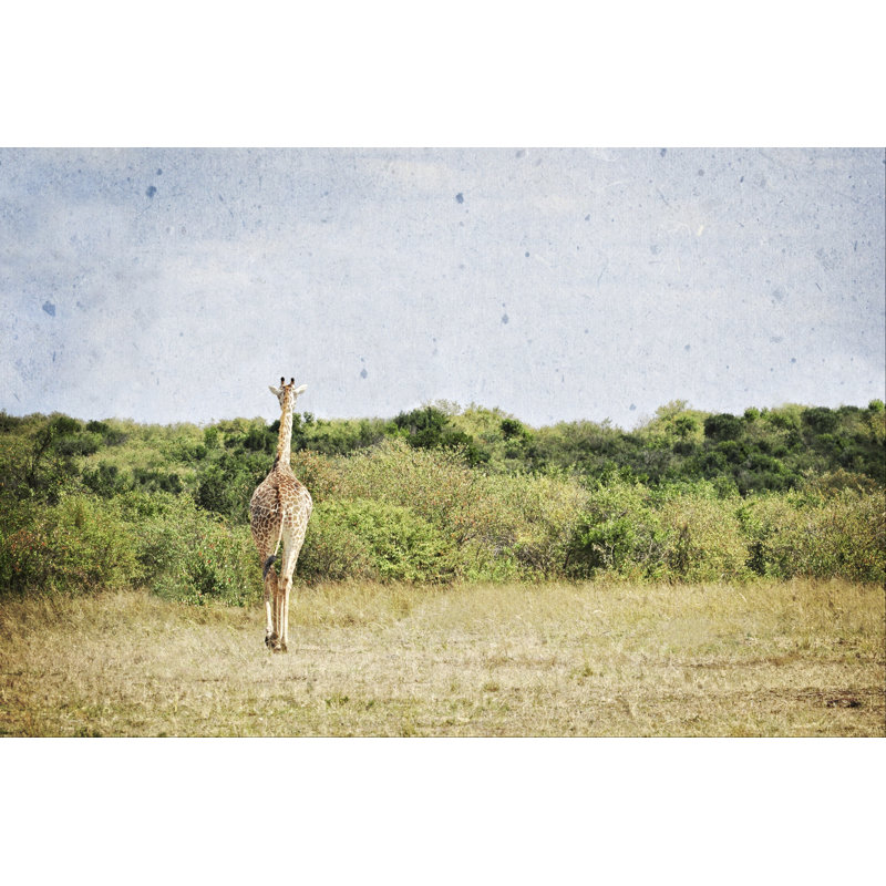 African Plains V - Photograph, Wrapped Canvas, 61 cm H x 91 cm W