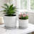 Modern Outdoor Planters with Saucer for Home Decor and Living Room - Textured Indoor Flower Pot For Patio Styling- Set Of 2, 6", 5"-127892393-20103572