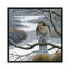 " Hawk In A Tree " by Jan Weenink-29479800-73577160-73577161