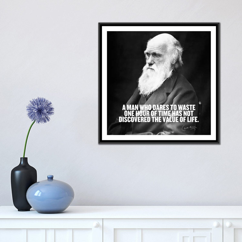 Citation de Charles Darwin, impression sur toile, H 18 po x l 18 po x P 1,5 po, Toile avec cadre noir, Pas de tapis