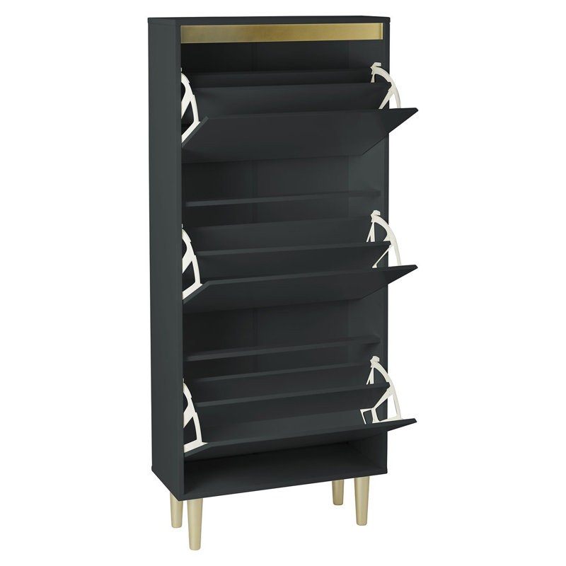 Iliana Flip Down Shoe Storage, Gold/Black
