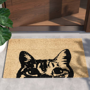 Heyli 60 L x 36 W Indoor Outdoor Door Mat