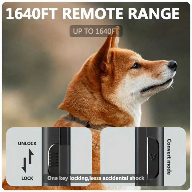 Dog Training Collar Set with Sleek Color Display
