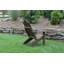 Chaise Adirondack en bois massif Handley-911563204