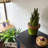 Landscape & Nature Figurines & Sculptures