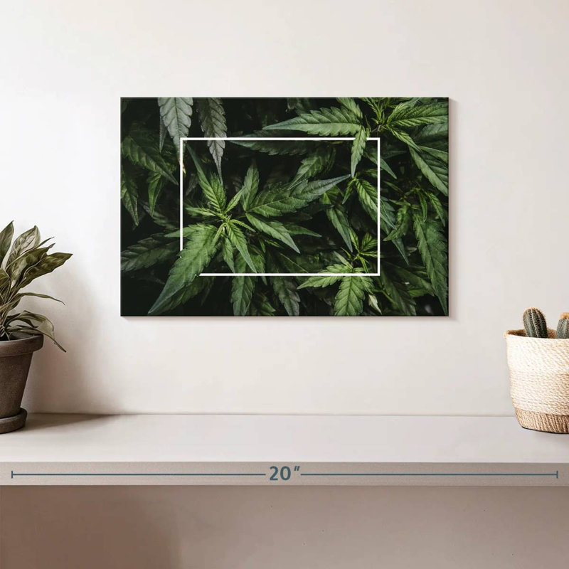 Feuilles de marihuana encadrées, H 8 po x l 12 po