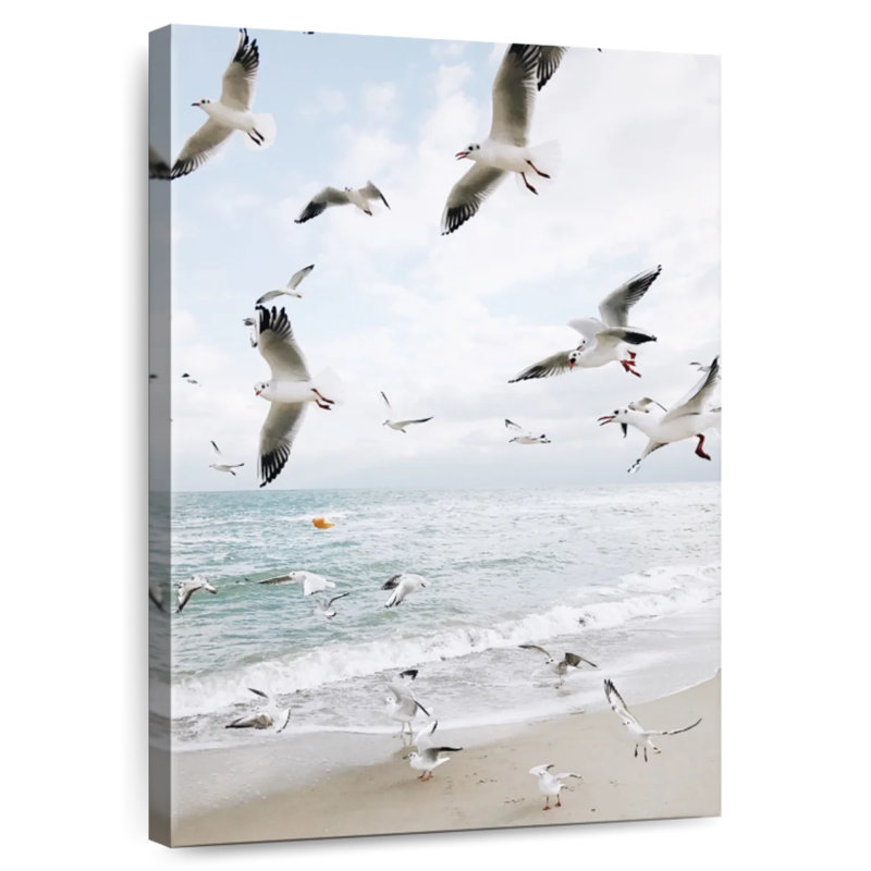 Photographie de mouettes Brampt au-dessus de la côte, H 36 po x l 24 po
