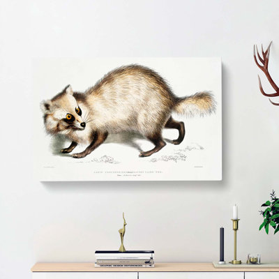Racoon-Faced Dog by John Edward Gray - Wrapped Canvas