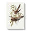 Unadorned Cuckoos by Elizabeth Gould - Wrapped Canvas Painting-55372095