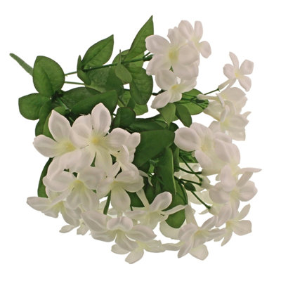 Stephanotis Arrangement