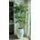 Faux Olive Tree Tree