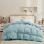 600 Fill Power All Season Down Comforter Duvet Insert-1801501209-1860804986