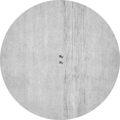 Vivioville Performance Indoor Rug