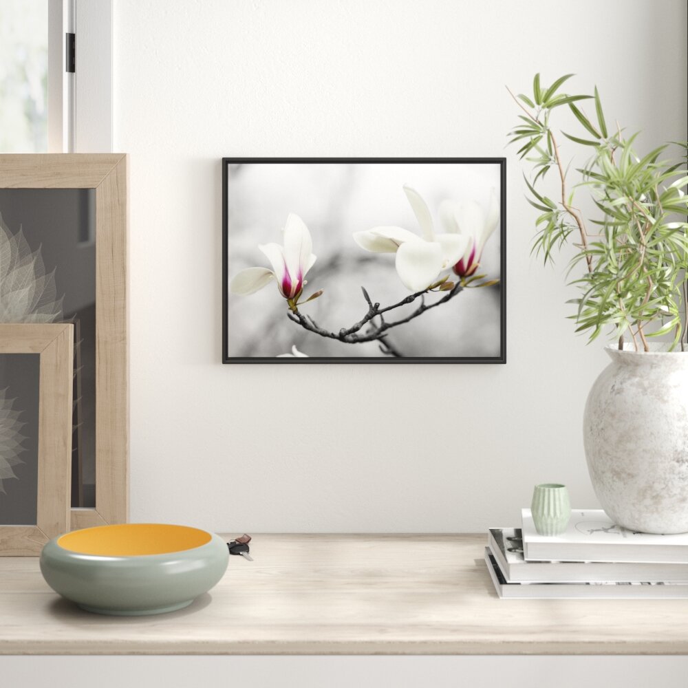 Gerahmtes Wandbild Magnolienblüten