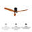 Airys 52'' Ceiling Fan with LED Lights