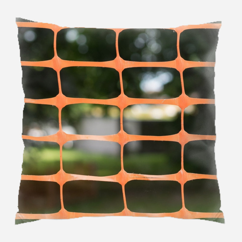 Background Throw Pillow