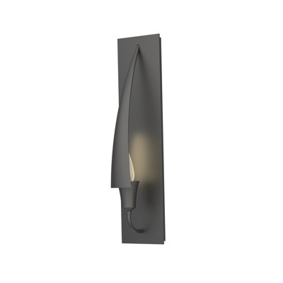 Cirque 1 - Light Flush Mounted Sconce