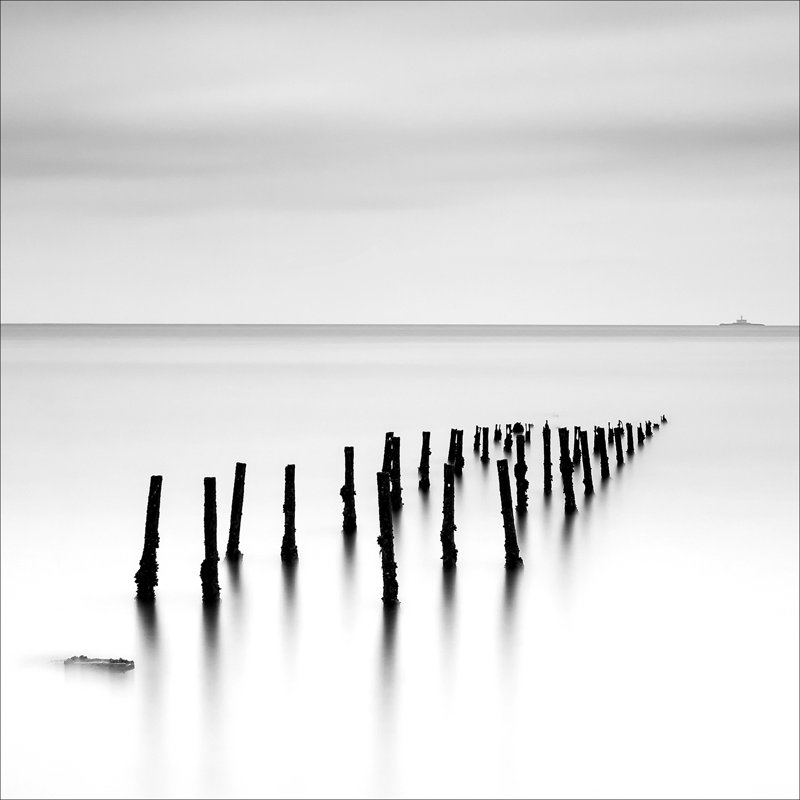 Out of the water II GLA2238, 80cm H x 80cm W x 1.5cm D