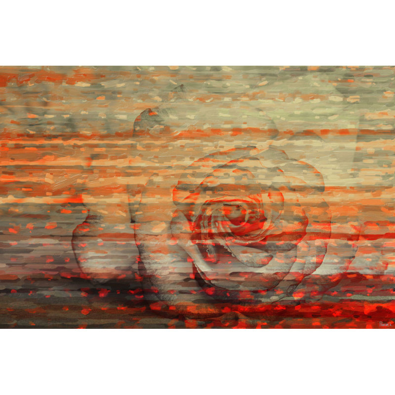 Parvez Taj - Wrapped Canvas Print, 61cm H x 91cm W