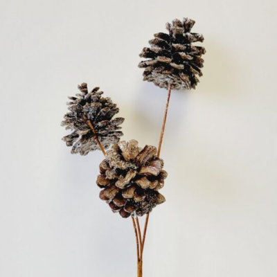 Fines plantes et arbres à paillettes glacées / glacées