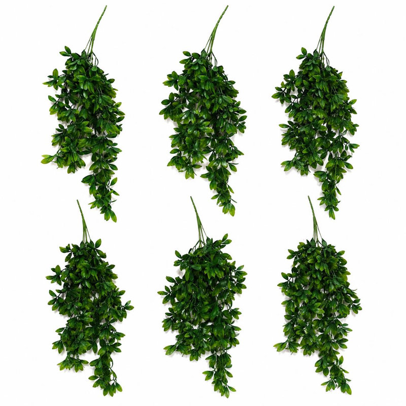 Hanging Plants X6 70cm Plant