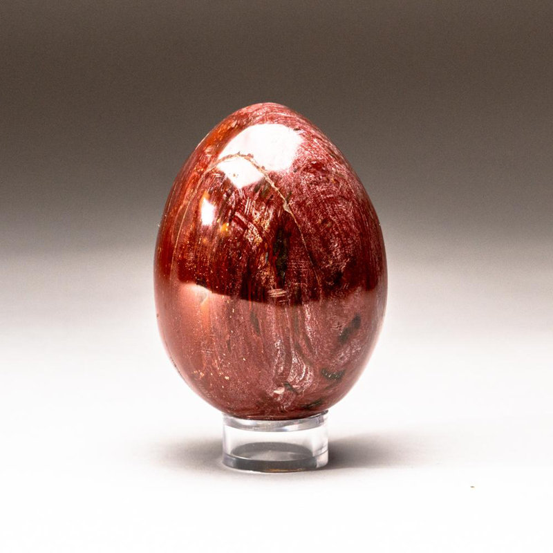 Petrified Wood Egg, Yellow/Brown, 3" H x 2" W x 2" D