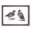 Two Ducks in Black & White by Johan Teyler - Framed Print-55614661-55614666