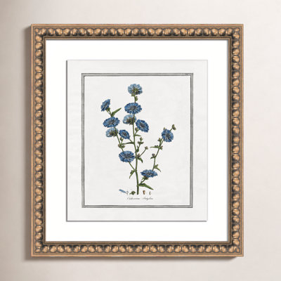 Colombe "Soft Botanical I" Print