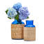 Ensemble de 2 vases en verre bleu
