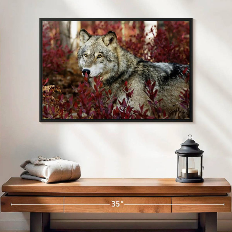 Loup caché, 25 po x 17 po, Cadre flottant noir