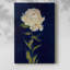 JOLIE COMME PEONY I - galerie Cavas-851718153