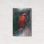 «Scarlet ibis» par Robert Campbell-1406144116