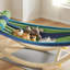 Amaral Camping Hammock with Stand