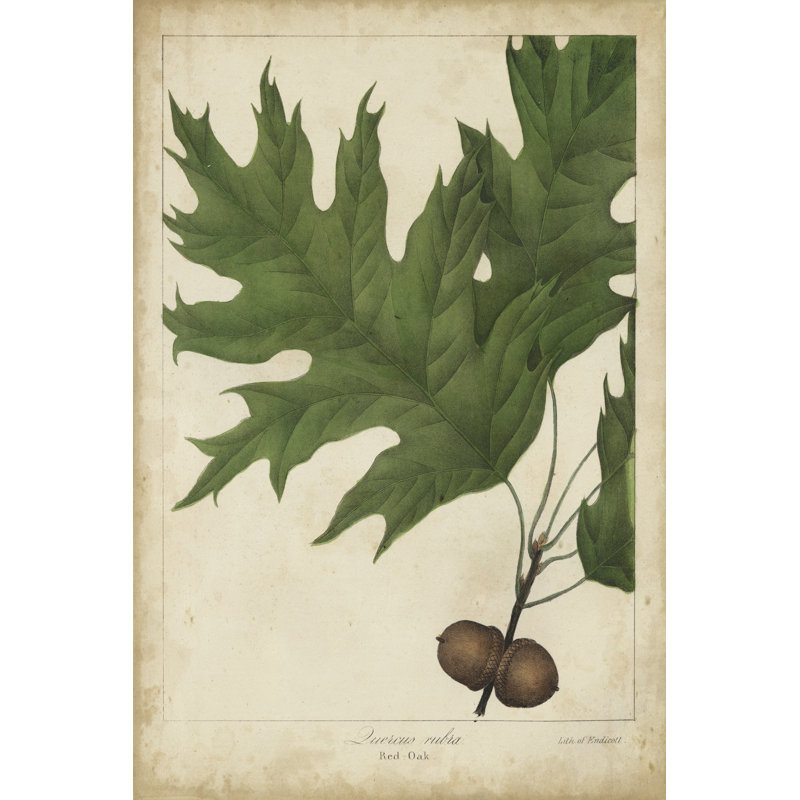 Nouveau Floral Design II - Wrapped Canvas Print, 122cm H x 81cm W x 3.8cm D