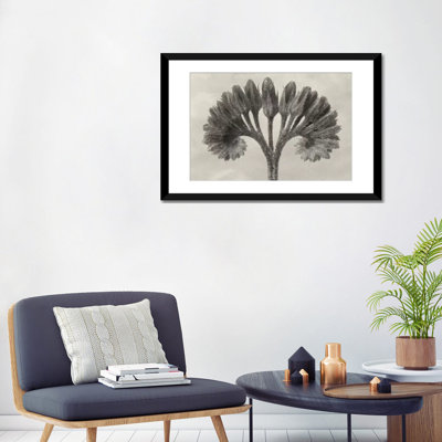 « blossfeldt botanique vii », reproduction d’impression sur toile tendue