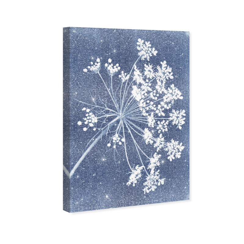 Queen Lace Print by Oliver Gal, 10"H x 15"W, Gallery Wrapped