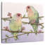 Brampt Love Birds