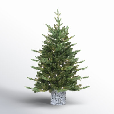 36' Lighted Artificial Pine Christmas Tree
