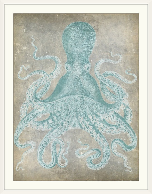 «Spa Octopus I» par Jennifer Goldberger, impression, Cadre blanc, H 32 po x l 26 po x P 1 po