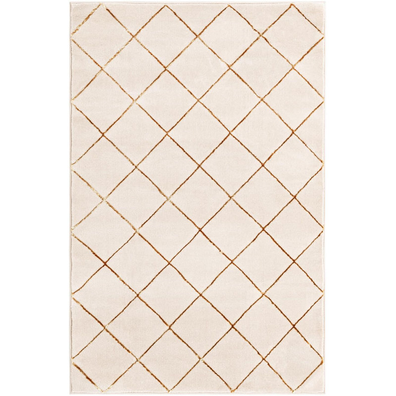 Contemporary Etowah Area Rug White and Gold Color, Rectangle 4'1" x 6'1"