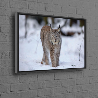 Print on Canvas