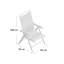 Billerica Patio Dining Armchair with Cushion-14061196