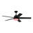 Purab 52'' Ceiling Fan with LED Lights-602551314
