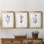 Simply Imperial - Ensemble de 3 reproductions de cadres photo-675570171-675570112