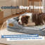 Silentnight Orthopaedic Luxury Pet Bed-383887914-309262712