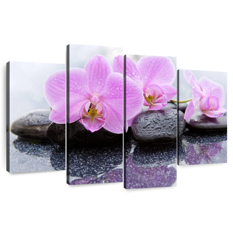 Harnek Dewy Zen Orchids