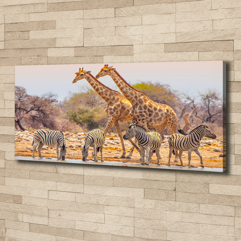 Giraffes And Zebras - Wrapped Canvas Print