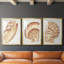 «Vintage Shell Vignette I», impression encadrée sur mesure de qualité supérieure mate - 3 pièces-2126711606-2126711600