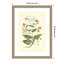 «Small Blush Pink Florals No. 7» par John Miller, reproduction d'art encadrée sur bois